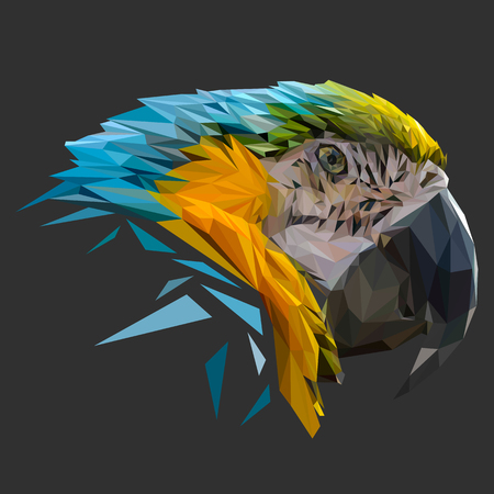 Parrot low poly design. Triangle vector illustration.のイラスト素材