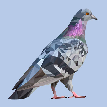 Pigeon bird animal low poly design. Triangle vector illustration.のイラスト素材