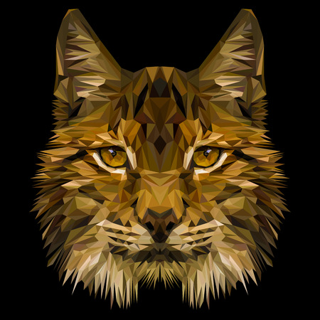 Lynx cat animal low poly design. Triangle vector illustration.のイラスト素材