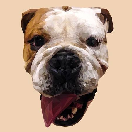 English bulldog dog animal low poly design. Triangle vector illustration.のイラスト素材