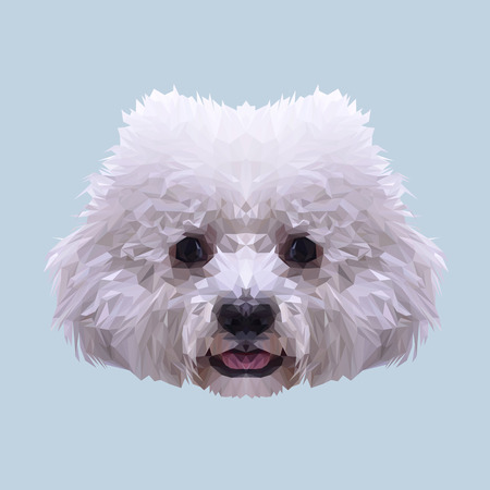 White Bichon Frise dog animal low poly design. Triangle vector illustration.のイラスト素材