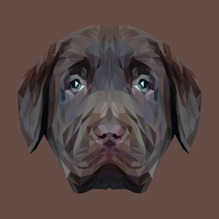 Labrador Retriever Dog puppy animal low poly design. Triangle vector illustration.のイラスト素材