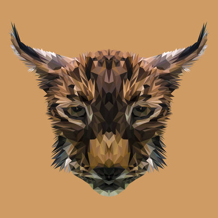 Lynx cat animal low poly design. Triangle vector illustration.のイラスト素材