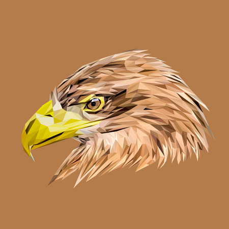 Eagle low poly design. Triangle vector illustration.のイラスト素材