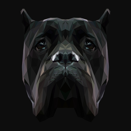 Cane Corso dog animal low poly design. Triangle vector illustration.のイラスト素材