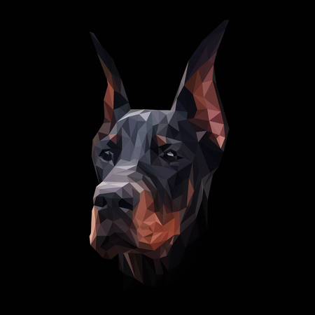 Doberman dog animal low poly design. Triangle vector illustration.のイラスト素材