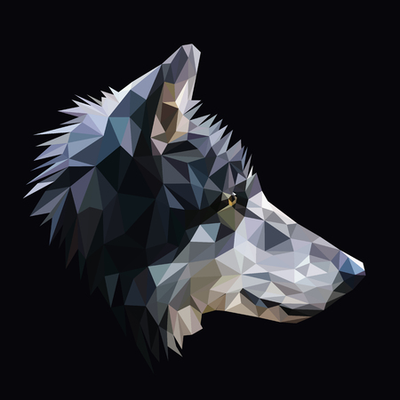 Wolf low poly design.のイラスト素材