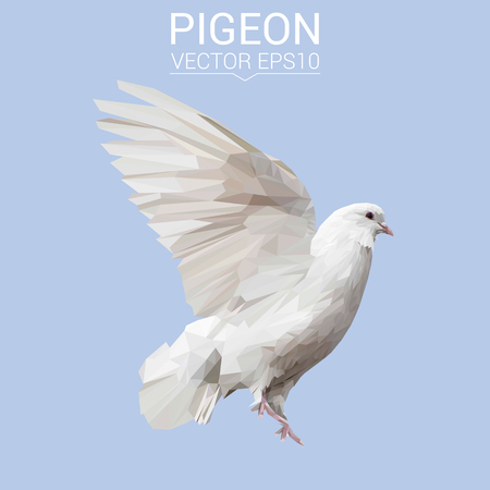 Pigeon bird low poly design.のイラスト素材