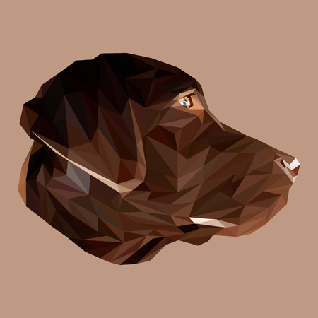 Labrador Retriever low poly design. Triangle vector illustration.のイラスト素材