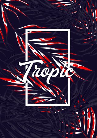 Tropic summer vibes backgroundの写真素材