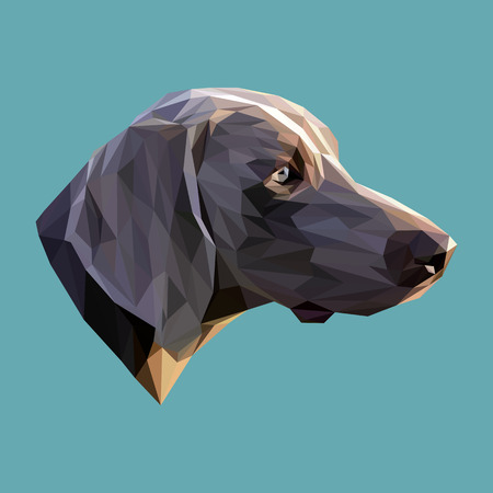 Dog low poly design. Triangle vector illustration.のイラスト素材