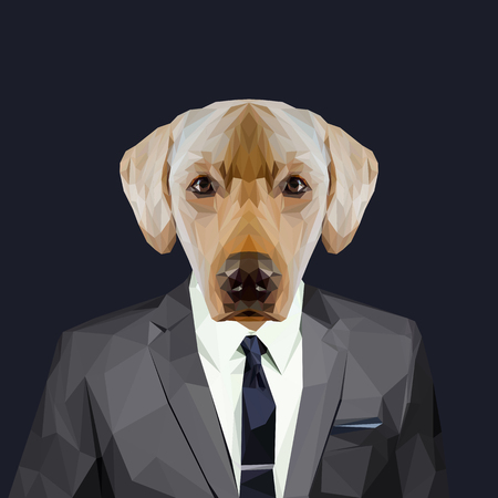 Labrador dog dressed in a suit. Elegant classy style. Vector illustration.のイラスト素材