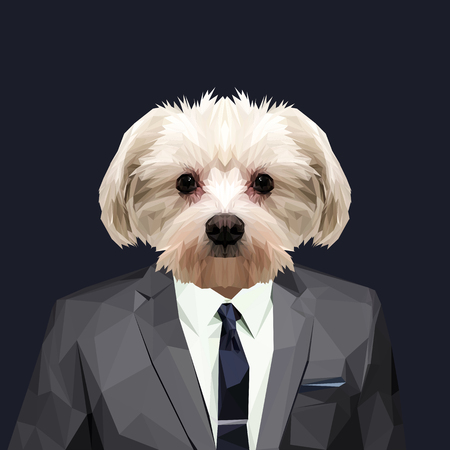 Maltese dog dressed in a suit. Elegant classy style. Vector illustration.のイラスト素材