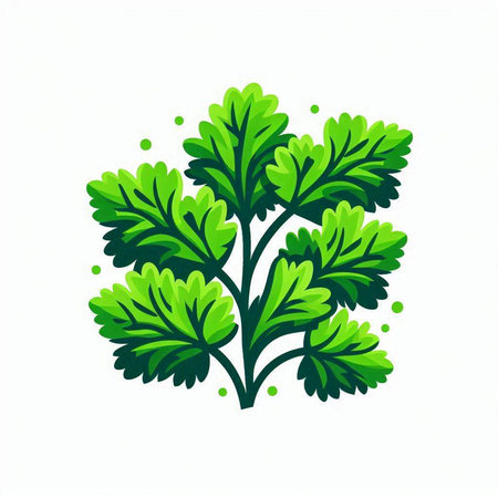 Parsley vector icon isolated on white background. Vector illustration.のイラスト素材