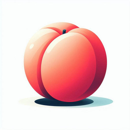 Illustration of a peach on a white background. Vector illustration.のイラスト素材