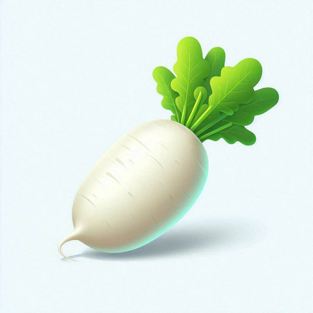 Daikon radish on a white background. Vector illustration.のイラスト素材