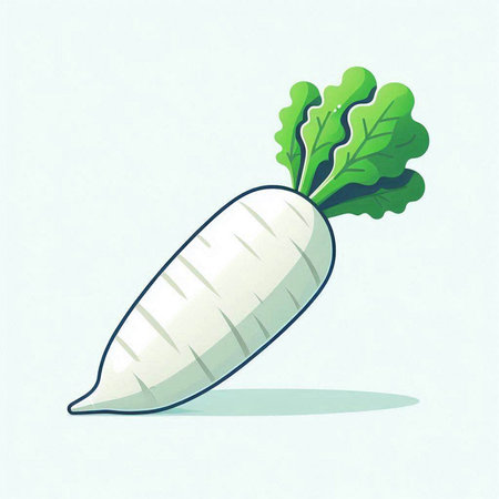 Illustration of a white radish with green leaves on a light background