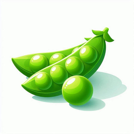 Green peas on a white background. Vector illustration. Eps 10.のイラスト素材