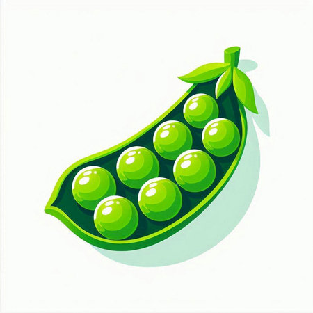 Green peas on a white background. Vector illustration. Eps 10.のイラスト素材