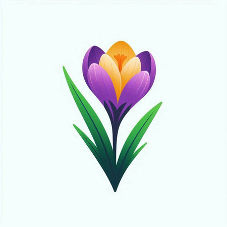 Crocus flower isolated on white background. Hand drawn vector illustration.