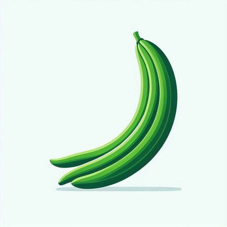 Banana. Vector illustration of fresh green banana on light background.のイラスト素材