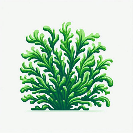 Green seaweed isolated on white background. Vector illustration for your design