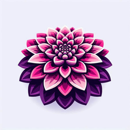 Illustration of a pink dahlia on a purple background.のイラスト素材