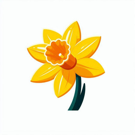 Daffodil flower icon isolated on white background. Vector illustration.のイラスト素材