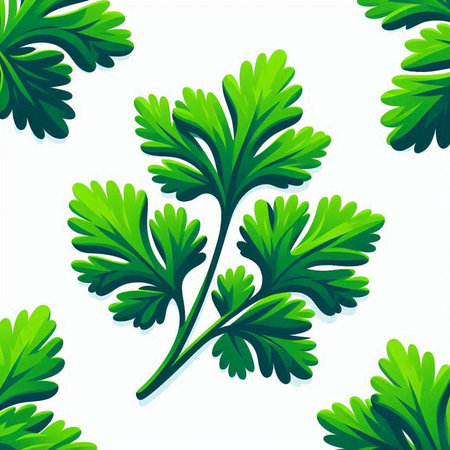 Seamless pattern with fresh parsley leaves. Vector illustration.のイラスト素材