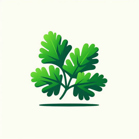 parsley vector icon. parsley vector icon. parsley vector iconのイラスト素材