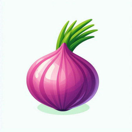 Illustration of a red onion on a white background, vector illustrationのイラスト素材