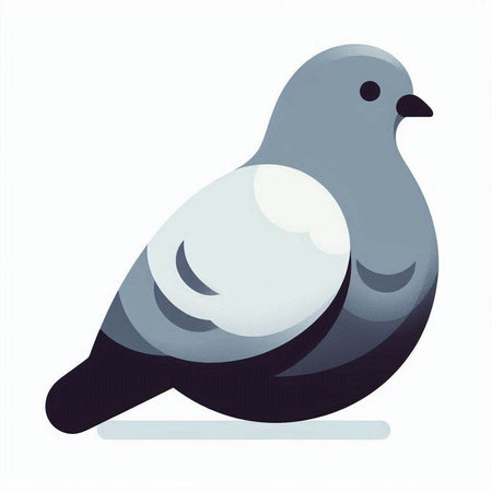 Pigeon on a white background. Vector illustration of a bird.のイラスト素材