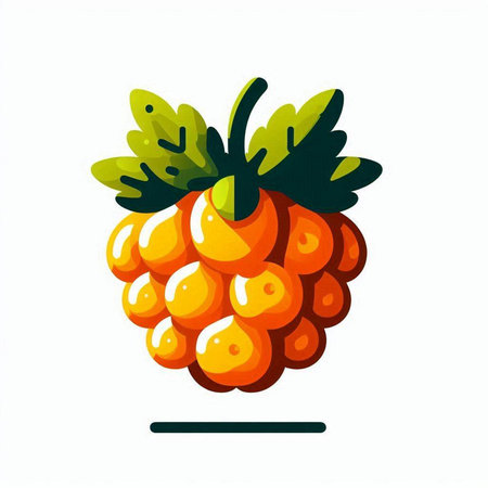Raspberry vector illustration. Isolated on a white background. Vector illustration.