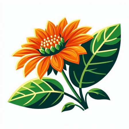 Illustration of orange sunflower with green leaves on a white backgroundのイラスト素材