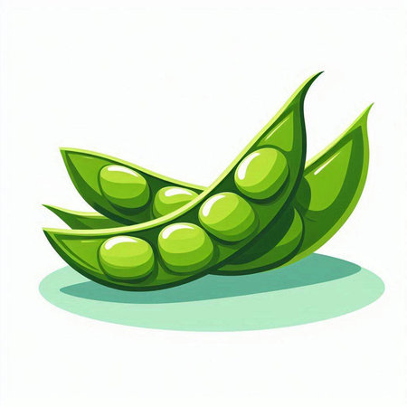 Green peas isolated on white background. Vector illustration. Eps 10.のイラスト素材