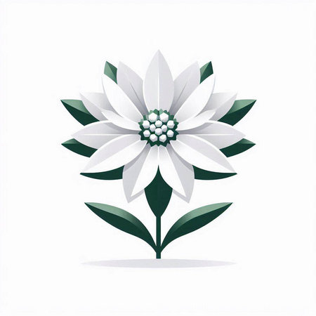 white flower with green leaves on a white background. Vector illustration.のイラスト素材