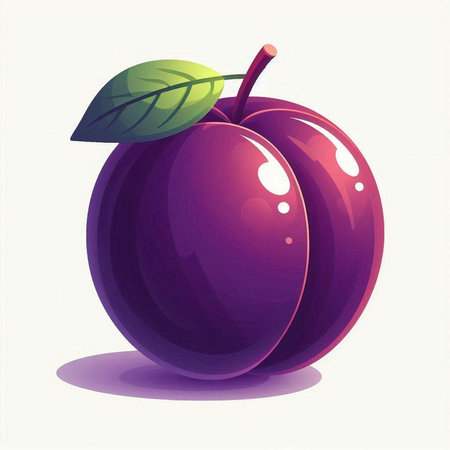 Plum. Vector illustration. Isolated on a white background.のイラスト素材