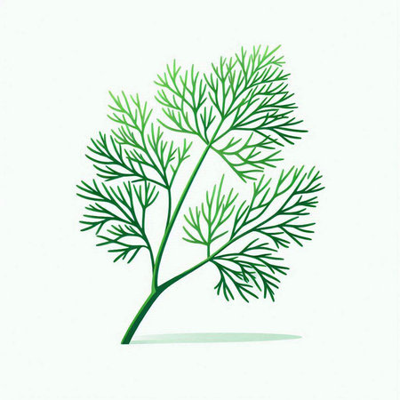 dill leaves on a white background, vector illustration, eps 10のイラスト素材