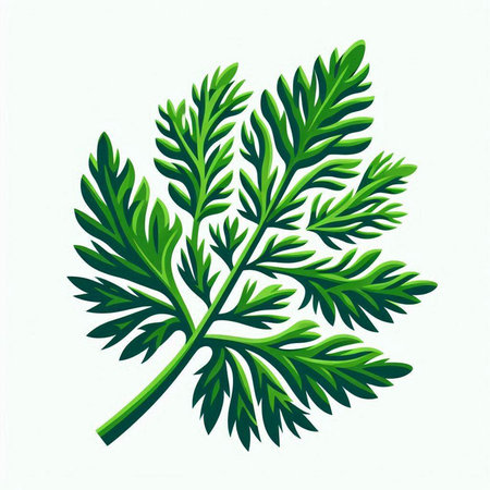 Fresh green dill leaves isolated on white background. Vector illustration.のイラスト素材