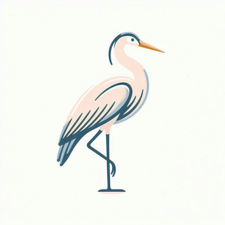 Illustration of a white heron on a white background, vector illustrationのイラスト素材