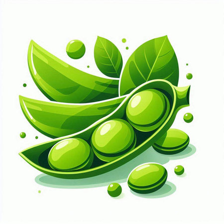 Fresh green peas with leaves on a white background. Vector illustration.のイラスト素材