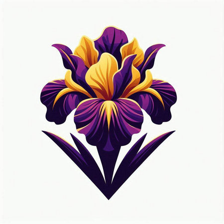 Illustration of iris flower on white background. Vector illustration.のイラスト素材