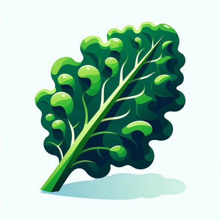 Illustration of a fresh green lettuce leaf isolated on a white background