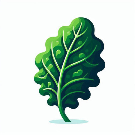 Lettuce leaf icon. Vector illustration isolated on white background.