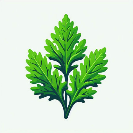 Green leaves of arugula on a white background. Vector illustrationのイラスト素材