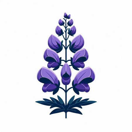 Purple lupine flowers isolated on white background. Vector illustration.のイラスト素材