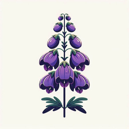 Purple lupine flowers on white background, vector illustration.のイラスト素材