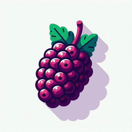 Illustration of a bunch of blackberries on a white background.