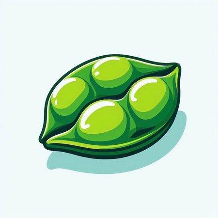 Green soybean icon isolated on white background. Vector illustration of a pod of soybean.のイラスト素材