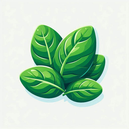 Spinach icon. Vector illustration of fresh green spinach leaves.のイラスト素材